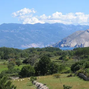 villa-maja-baska.primorje-gorskikotar.com/